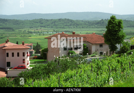 Vigneto. Vista da Majan Simcic's Cantina oltre il confine italiano. Brda, regione vinicola del litorale, Slovenia Foto Stock