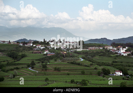 Vigneto. Vista su Italia da cantina Movia, Brda, regione vinicola del litorale, Slovenia Foto Stock