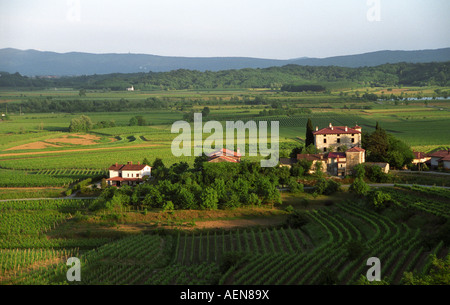 Vigneto. Vista sul Castello Gredic e cantina Movia italiani di vigneti. Brda, regione vinicola del litorale, Slovenia Foto Stock