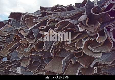 Grande pila di memorizzati querce da sughero in corteccia di albero. Appena raccolte, essiccazione all'esterno. Amorim cork impianto di produzione. Alentejo, Portogallo Foto Stock