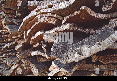 Grande pila di memorizzati querce da sughero in corteccia di albero. Appena raccolte, essiccazione all'esterno. Amorim cork impianto di produzione. Alentejo, Portogallo Foto Stock