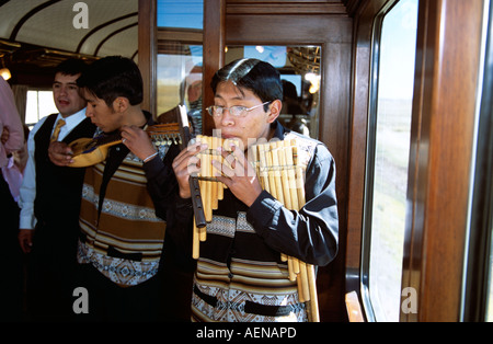 L'uomo gioca pan tubi in banda peruviano, nel trasporto di Puno a Cusco in treno Perurail di viaggio Perù Foto Stock
