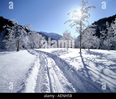 DE - Baviera: Winterscene vicino a caduta Foto Stock