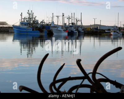 Barche da pesca del pesce di scarico sulla banchina del porto di Twillingate, Terranova, Canada Atlantico Foto Stock