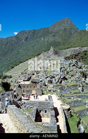 Terrazze sul fianco della montagna, Machu Picchu, Perù Foto Stock