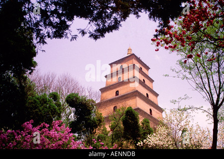 Xi'an, Shaanxi, Cina: Dayan (Grande Pagoda) in primavera Foto Stock