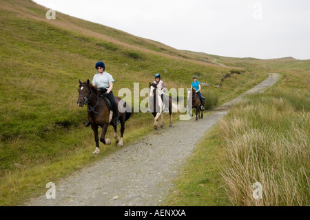 Un gruppo di persone con Pony in Cwm Twrch Carmarthenshire mid west wales Foto Stock