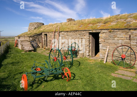 Dh Farm Museum CORRIGALL ORKNEY casa agricola edifici North Ronaldsay pecore tappeto erboso mangiare erba del tetto Foto Stock