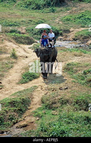I turisti a cavallo di elefante, Mae Ping Elephant Training Camp, Mae Ping, vicino a Chiang Mai, Thailandia Foto Stock