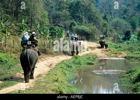 I turisti a cavallo di elefanti, Mae Ping Elephant Training Camp, Mae Ping, vicino a Chiang Mai, Thailandia Foto Stock