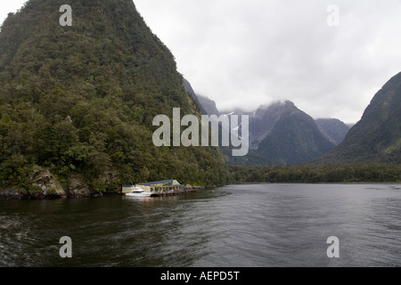 MILFORD SOUND laghi del sud dell'Isola del Sud della Nuova Zelanda può Milford Sound osservatorio sottomarino Foto Stock