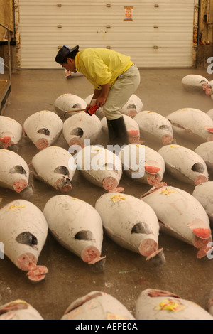 Giappone Tokyo il Mercato del Pesce di Tsukiji asta del tonno Foto Stock