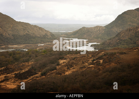 Ladies View affacciato sul Parco Nazionale di Killarney Ring of Kerry County Kerry, Irlanda Foto Stock
