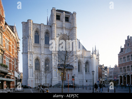 Leuven / Löwen, San Pieterskerk, Kathedrale St-Pierre Foto Stock