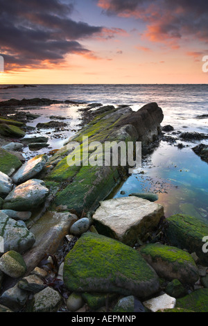 Roccioso coperto di alghe marine battute a: Peveril Point, Swanage Foto Stock