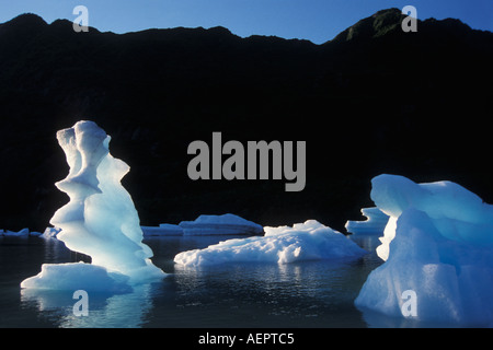 Ghiacciai in orso lago glaciale in Kenai Fijords Parco Nazionale di Alaska Foto Stock