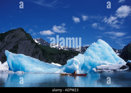 Kayaker con giganti blu Iceberg dal ghiacciaio di Orso in orso lago glaciale il parco nazionale di Kenai Fjords centromeridionale Alaska Foto Stock