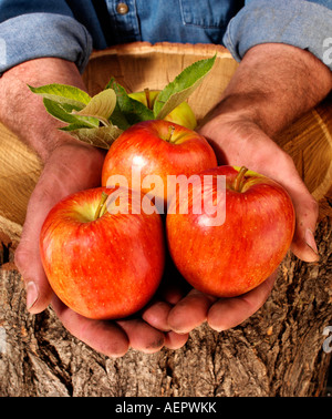 Imprenditore UOMO CON LE MELE ROSSE Foto Stock