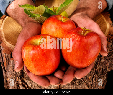 Imprenditore UOMO CON LE MELE ROSSE Foto Stock