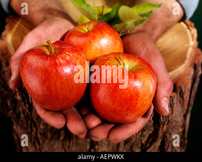 Imprenditore UOMO CON LE MELE ROSSE Foto Stock