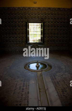 Alcazar fontana in una casa con giardino al Real Alcazar, Spagna Foto Stock