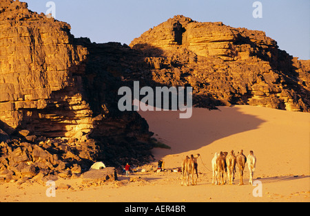 Libia Ghat Akakus, uomo di tribù Tuareg e turisti camping, cammelli Foto Stock