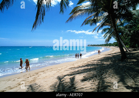 Spiaggia di Montego bay vicino a hotel jack tar village repubblica dominicana arcipelago delle Antille Maggiori dei Caraibi Foto Stock
