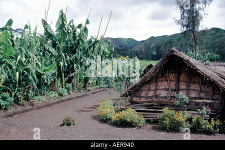 Piccolo borgo della valle Ramu nelle Highlands di Papua Nuova Guinea Foto Stock