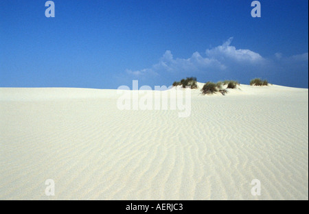 Il Coto Donana e la riserva naturale di dune di sabbia Foto Stock