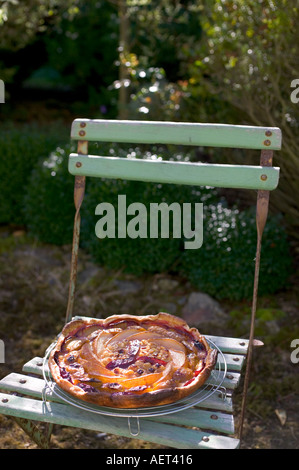 Autunnale di crostata di frutta su una sedia da giardino Foto Stock