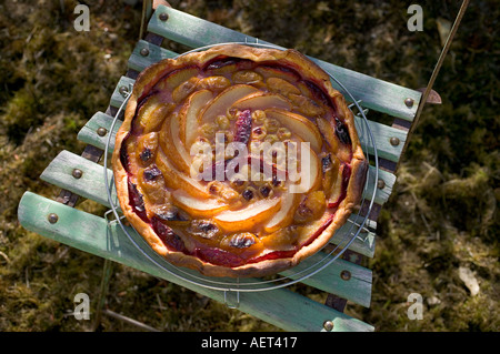 Autunnale di crostata di frutta su una sedia da giardino Foto Stock