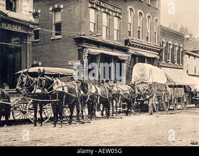 Black Hills stadio a Deadwood South Dakota 1890s. Albertype (foto). Foto Stock