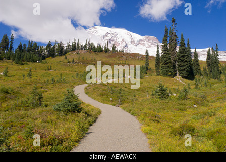 Mount Rainier dall'Alta Vista Trail Paradise Park Il Parco Nazionale del Monte Rainier Washington Foto Stock