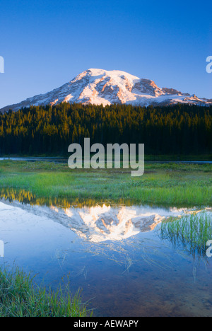 Alba la luce sul Monte Rainier dal lago di riflessione il Parco Nazionale del Monte Rainier Washington Foto Stock