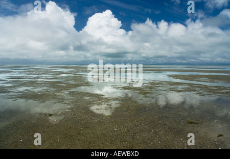 Le nuvole e la riflessione su Farewell Spit a bassa marea, Golden Bay, Nuova Zelanda Foto Stock