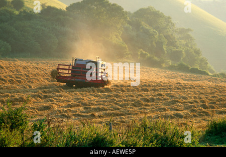 Macchina mietitrebbiatrice South Downs Sussex Regno Unito Europa Foto Stock