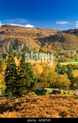 Vista in lontananza ad alta Ledore fattoria in autunno da Cat campane, Near Keswick, Parco Nazionale del Distretto dei Laghi, Cumbria, England, Regno Unito Foto Stock