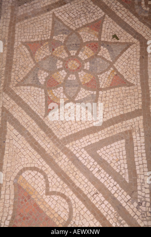 Romano mosaico floreale a Bignor Villa Romana, West Sussex, in Inghilterra Foto Stock