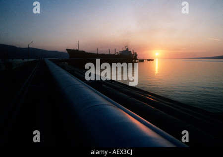 Turchia, Tupras raffineria di petrolio, recentemente ripreso dal Royal Dutch Shell. È la più grande impresa nella Turchia economia, anche Foto Stock