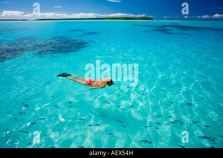 Lo snorkeling in acque incontaminate della Laguna Aitutaki, Isole Cook, Sud Pacifico Foto Stock