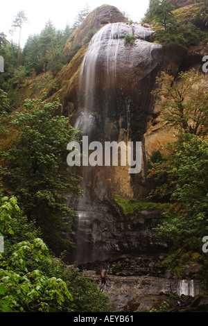 Silver Falls Golden Silver Falls State Park Oregon Foto Stock