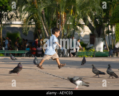 Piccolo Ragazzo a caccia di piccioni in Piazza della Città di Merida in Messico Foto Stock