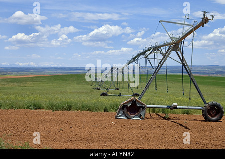 Grande raccolto impianto sprinkler è inattiva su un campo verde delimitata da terra rossa nel sud del Colorado Foto Stock