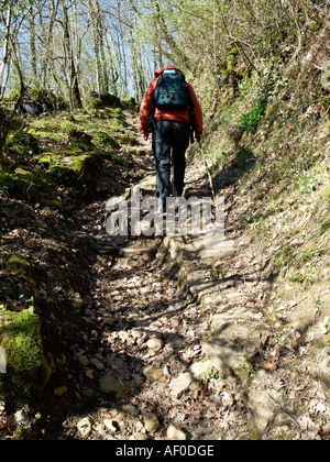 Signor escursionismo a piedi su un percorso treck su pietre e detriti in una foresta in primavera la donna con zaino bagpack vista verso il retro Foto Stock