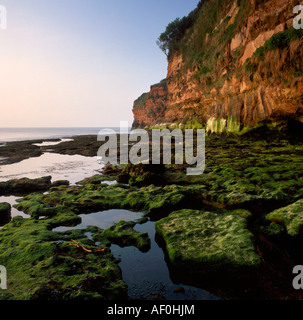 Scogliere a Ladram Bay, vicino Otterton, Inghilterra, all'alba Foto Stock