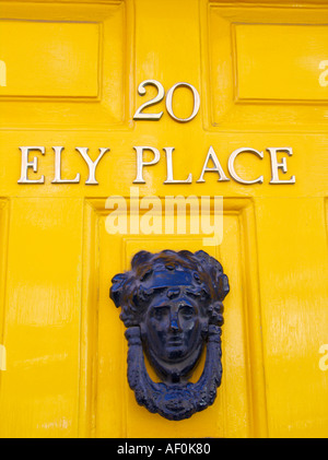 Porta in ottone respingente sul Georgian House nel centro di Dublino Foto Stock