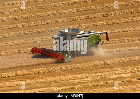 La raccolta di frumento, mietitrebbia, colture di frumento, Gran Bretagna, Regno Unito Foto Stock
