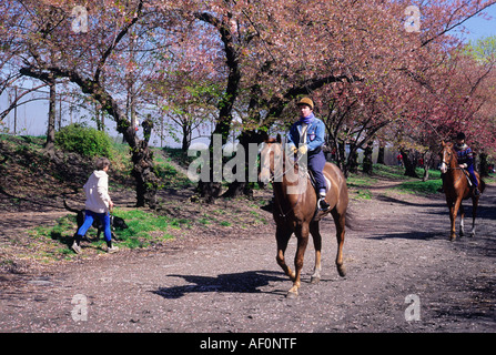 Jacqueline Kennedy Onassis Reservoir a Central Park, New York City. Passeggiate a cavallo sul sentiero nuziale presso il Central Park Reservoir in primavera. USA Foto Stock