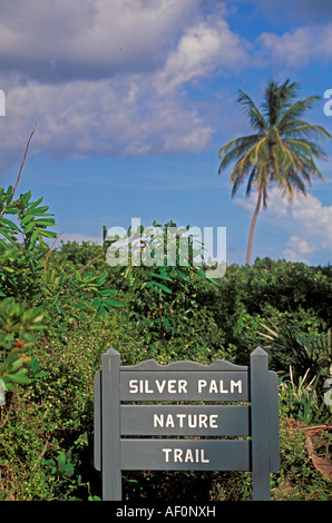 Bahia Honda State Park Florida Keys Silver Palm Sentiero Natura Foto Stock