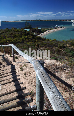 Isola dei pinguini Shoalwater Islands Marine Park off Rockingham Australia Occidentale Foto Stock